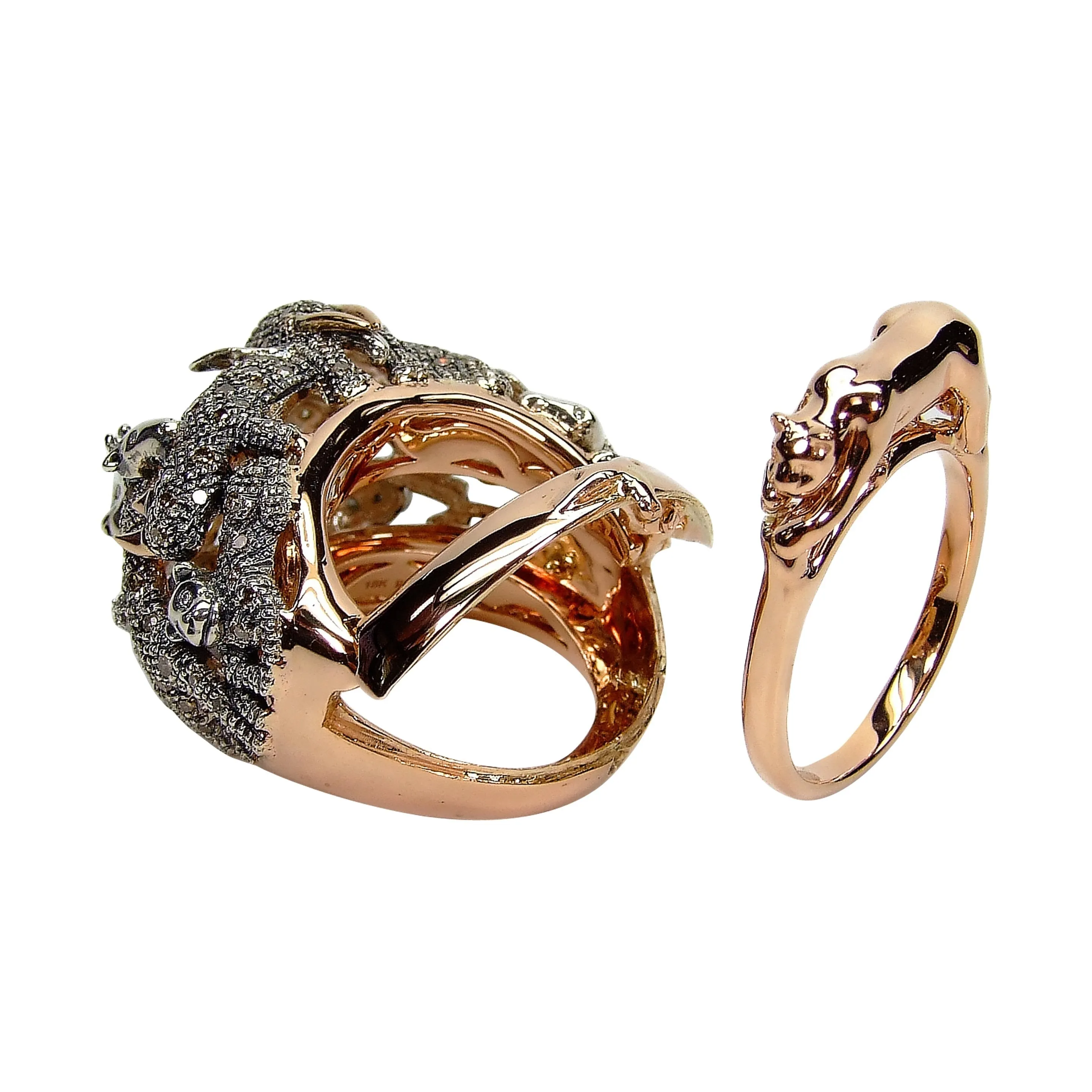 Animal Ring In A Ring