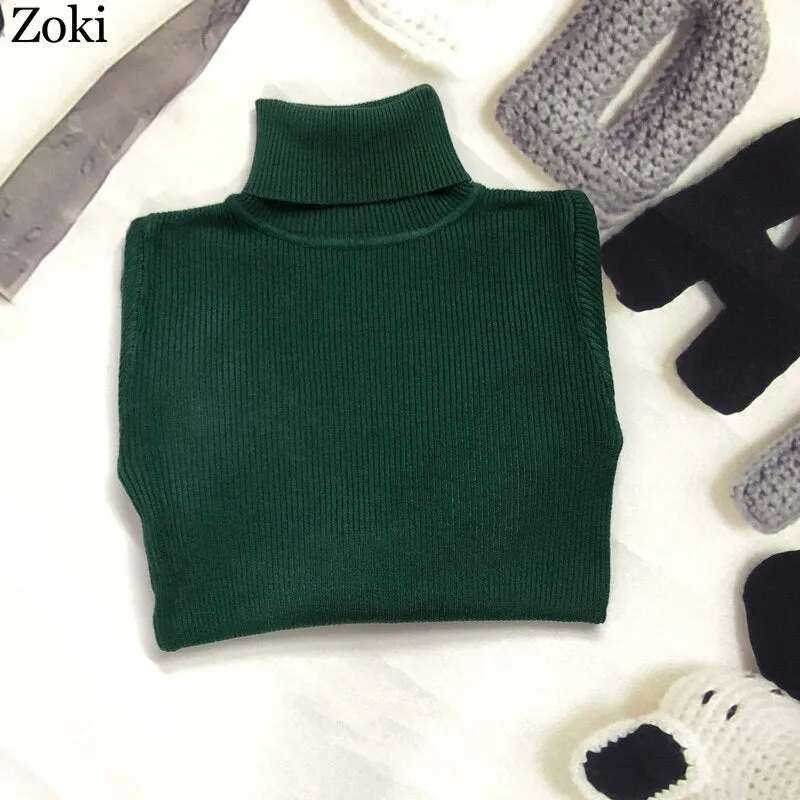 Back to College Joskaa Soft Women Turtleneck Sweater Autumn Long Sleeve Elastic Female Knitted Jumper Casual Pullover Slim Winter Basic Tops 2024