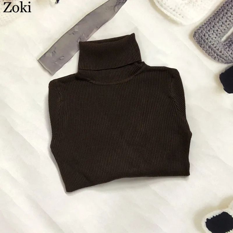 Back to College Joskaa Soft Women Turtleneck Sweater Autumn Long Sleeve Elastic Female Knitted Jumper Casual Pullover Slim Winter Basic Tops 2024