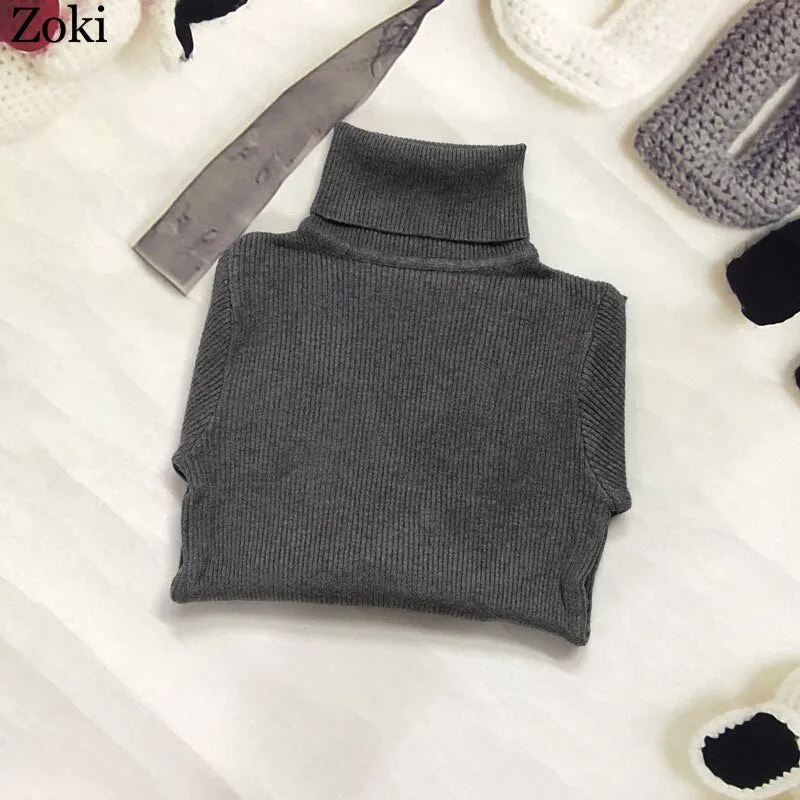 Back to College Joskaa Soft Women Turtleneck Sweater Autumn Long Sleeve Elastic Female Knitted Jumper Casual Pullover Slim Winter Basic Tops 2024