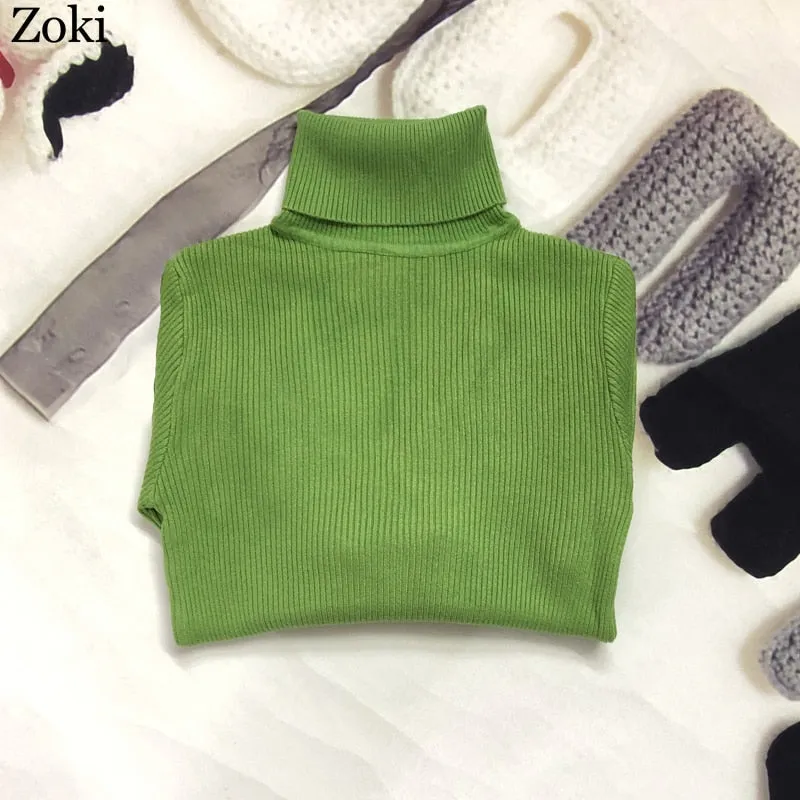 Back to College Joskaa Soft Women Turtleneck Sweater Autumn Long Sleeve Elastic Female Knitted Jumper Casual Pullover Slim Winter Basic Tops 2024