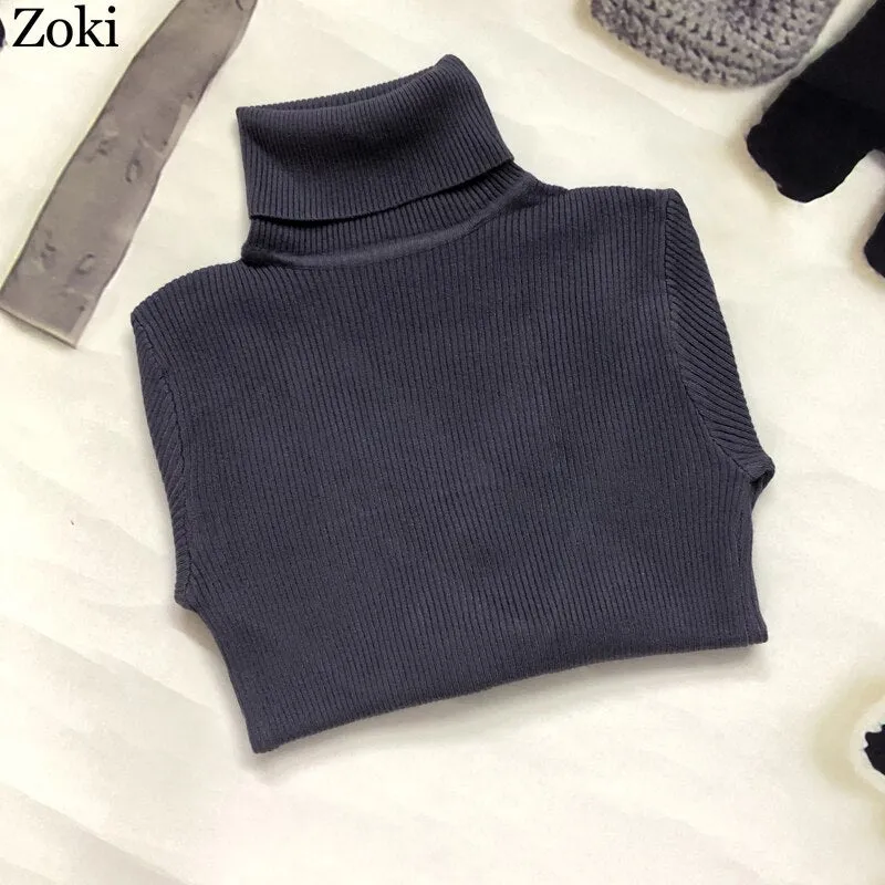 Back to College Joskaa Soft Women Turtleneck Sweater Autumn Long Sleeve Elastic Female Knitted Jumper Casual Pullover Slim Winter Basic Tops 2024