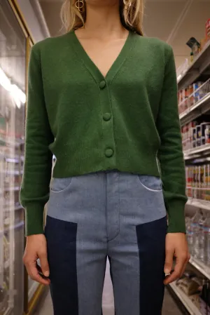Beklina Cashmere Cardigan Sweater Fauna