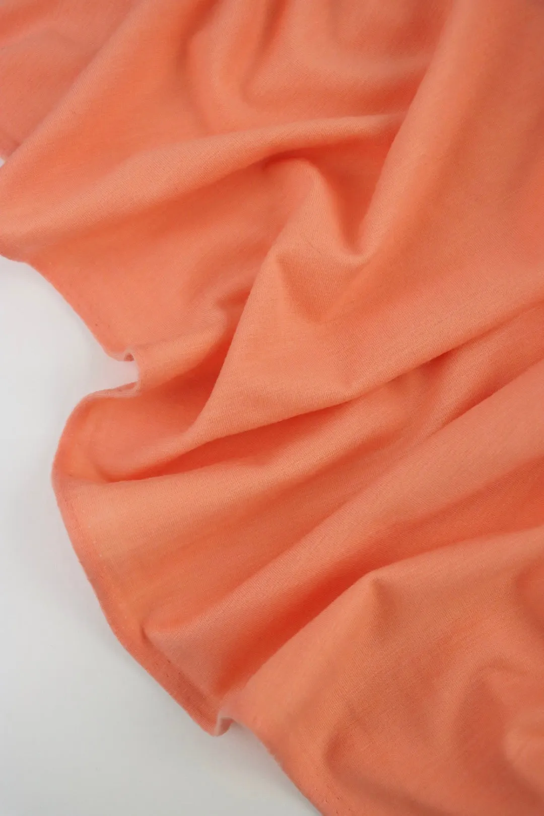 Cantaloupe Galway Wool Spandex Jersey Knit | By The Half Yard