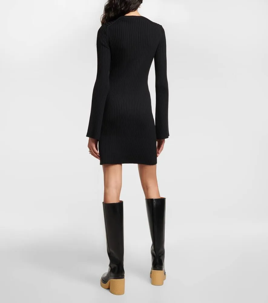 Chloe Ribbed-knit wool and cashmere dress
