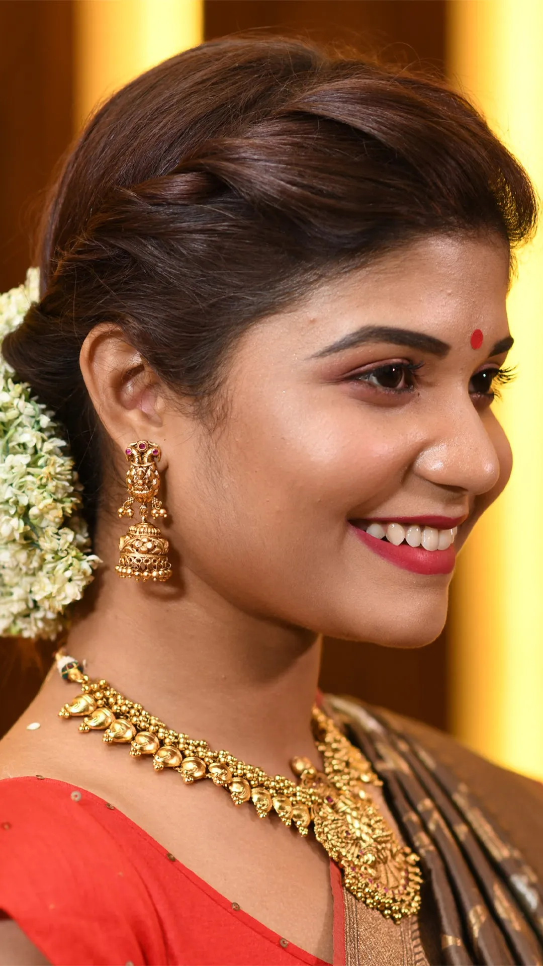 Crazy Chocolate Saree with Silver and Golden Zari