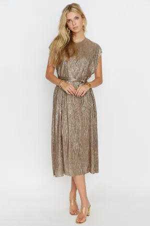 Eden Metallic Midi Dress