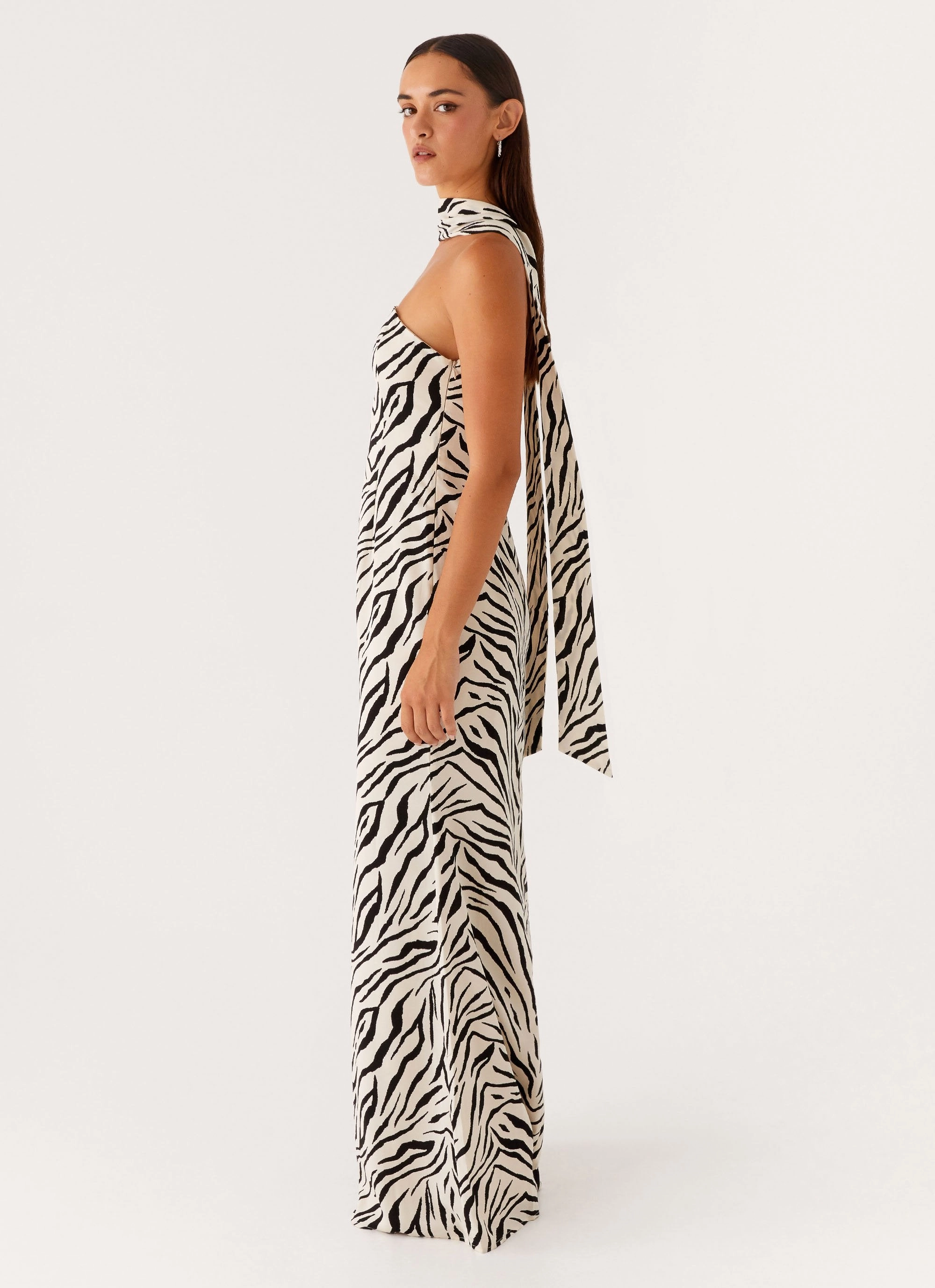 Jigsaw Strapless Maxi Dress - Zebra