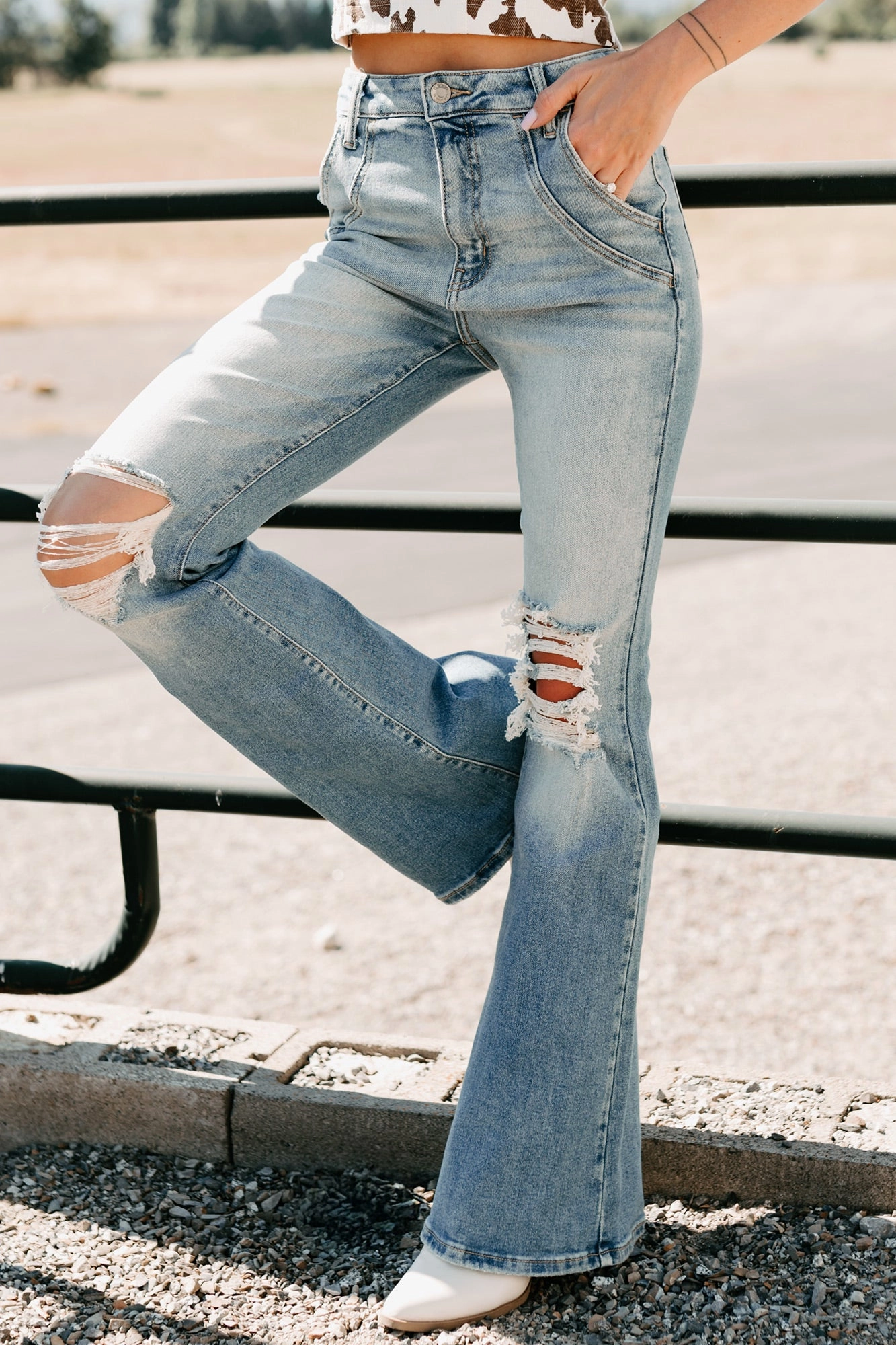 Laurie High Rise Flare Leg Cello Jeans (Medium)