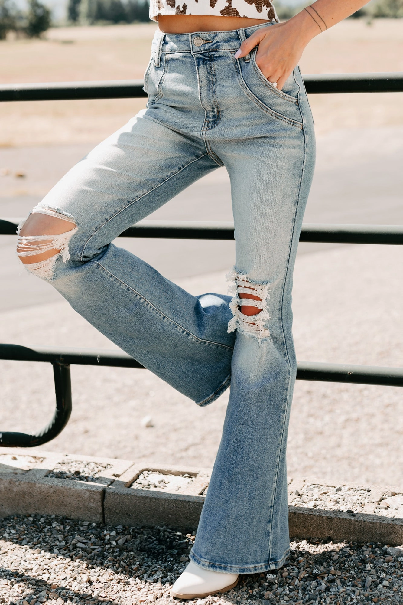 Laurie High Rise Flare Leg Cello Jeans (Medium)