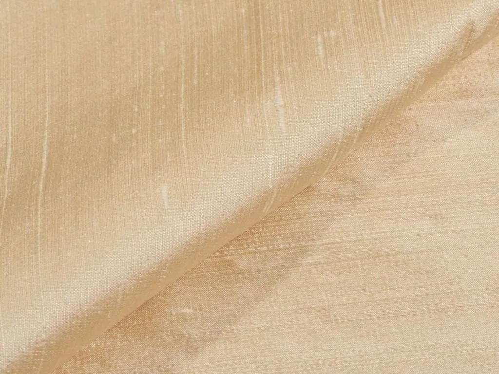 Off White Plain Bangalore Raw Silk Fabric