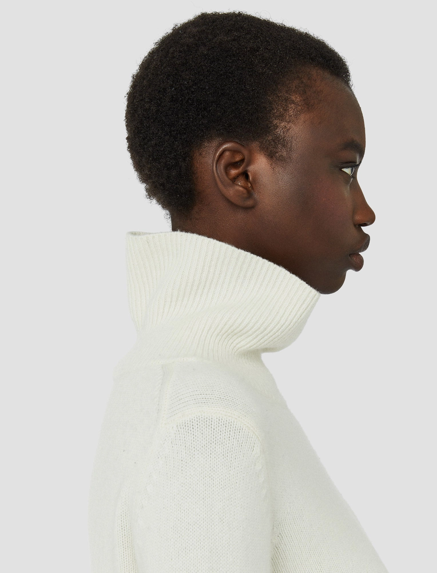 Pure Cashmere High Neck Jumper