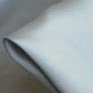 Remnant of Duckegg Silk Satin - 19mm