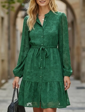 Retro style lace long sleeve puff sleeve dress Retro style lace long sleeve puff sleeve dress