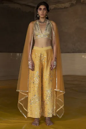 Silver Embroidered Pants