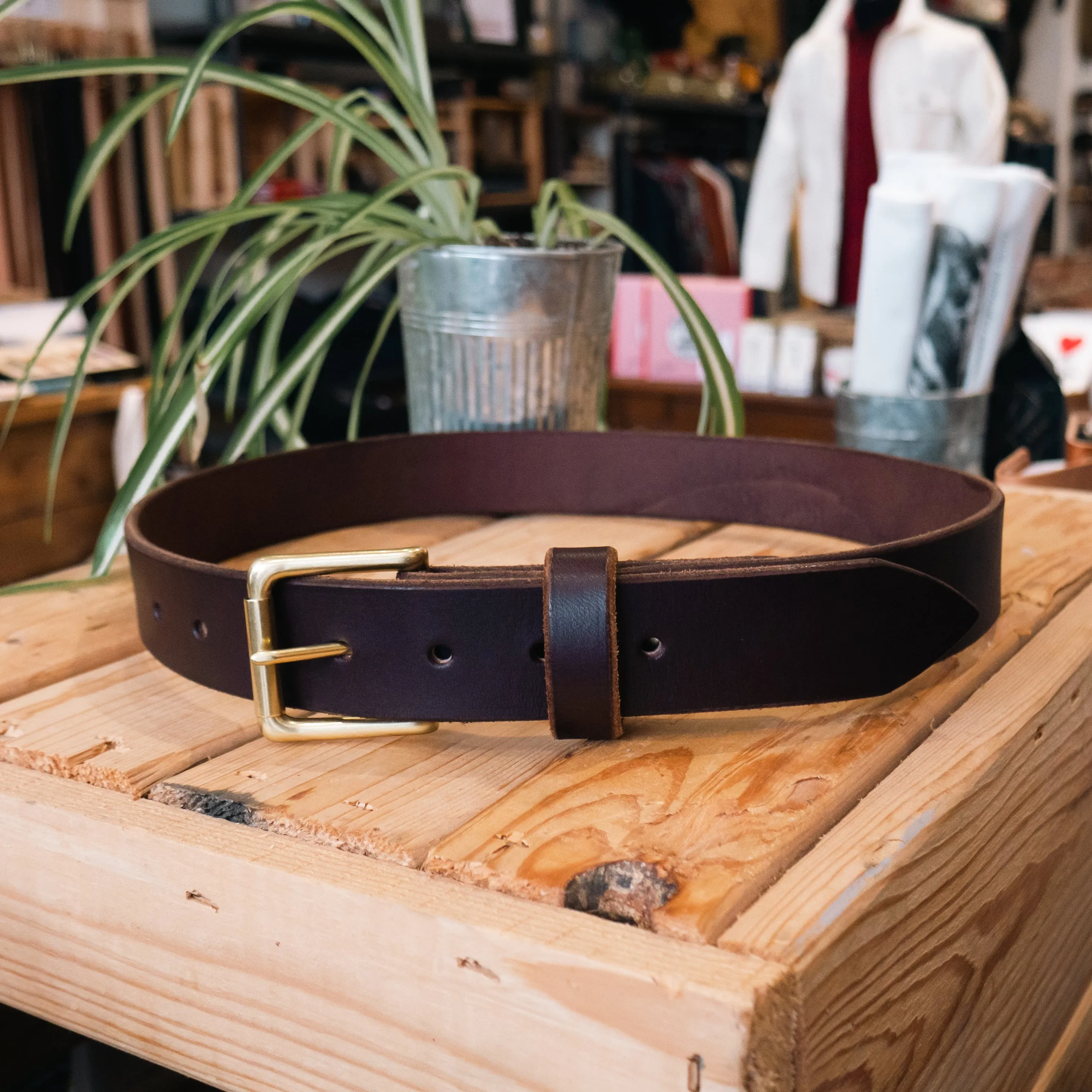 Standard Camp Belt | Brass