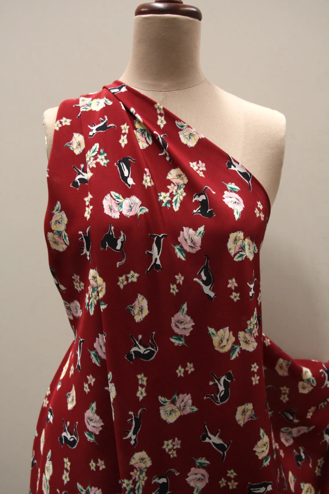 The Faceless Cat CDC