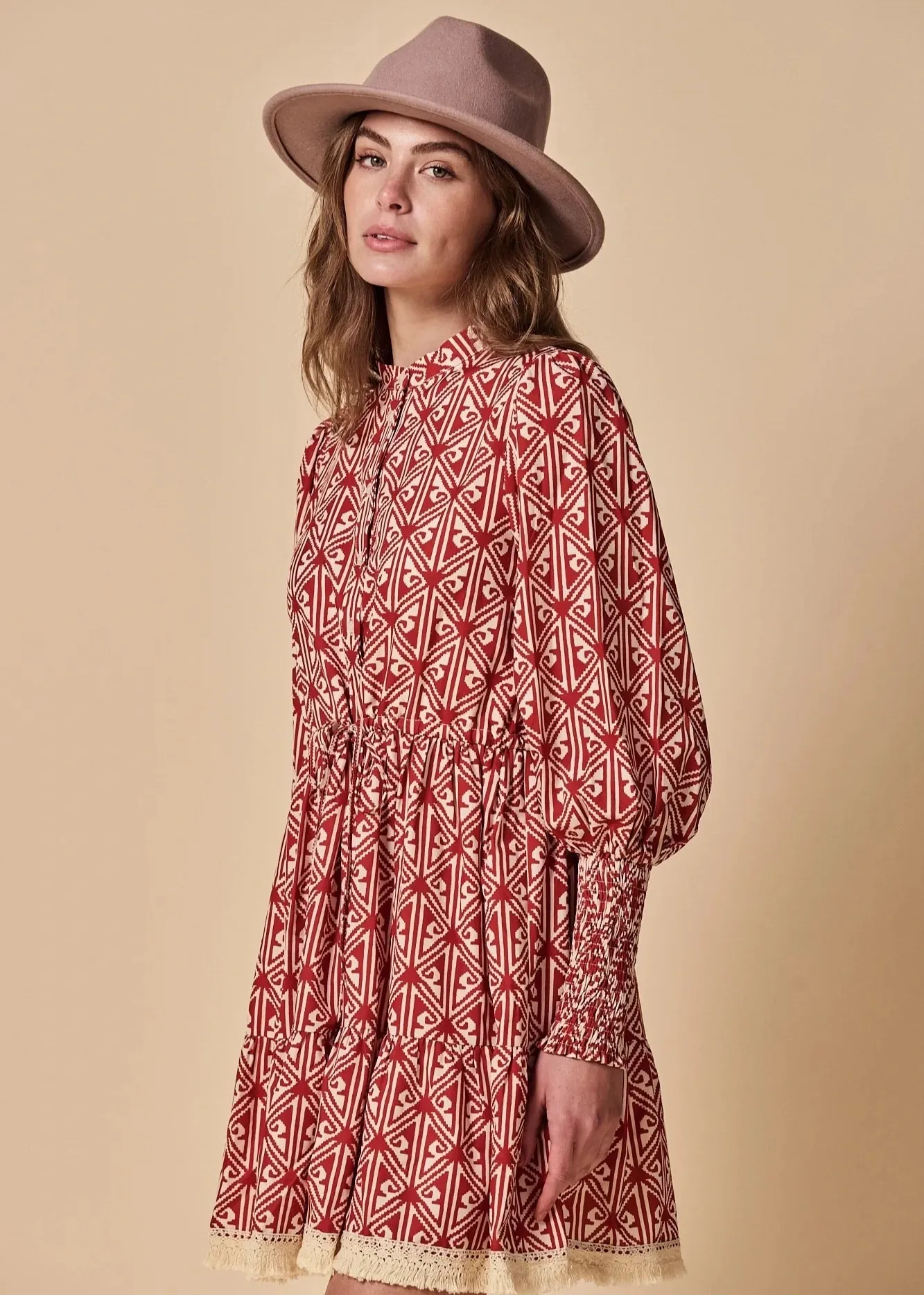 The Shirt The Brooke Dress