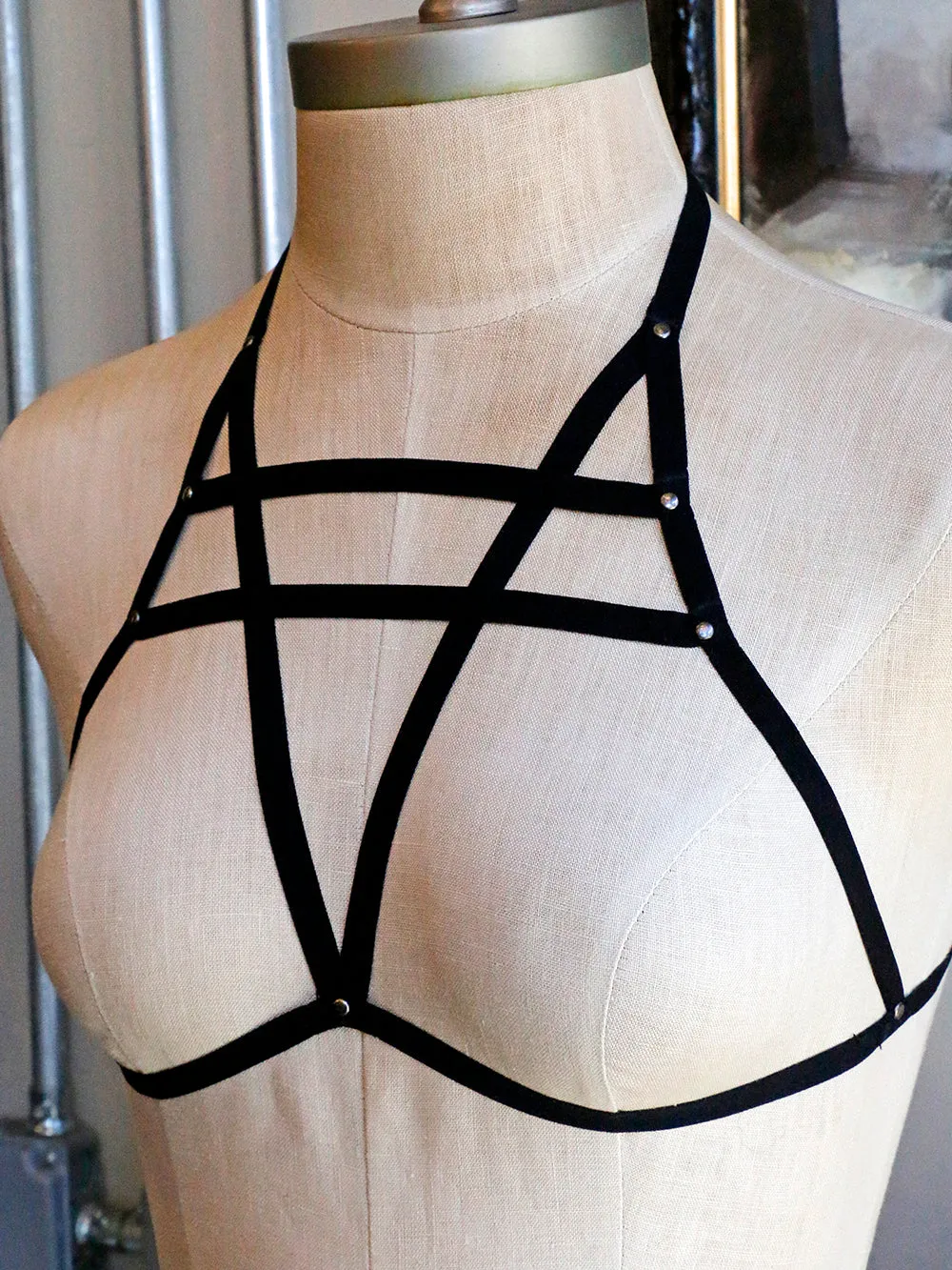 Tough Luv Double Strap Bra Harness