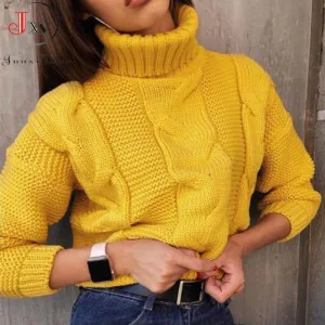 Turtleneck Pullover