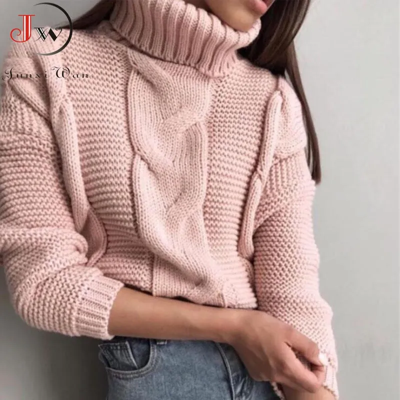 Turtleneck Pullover