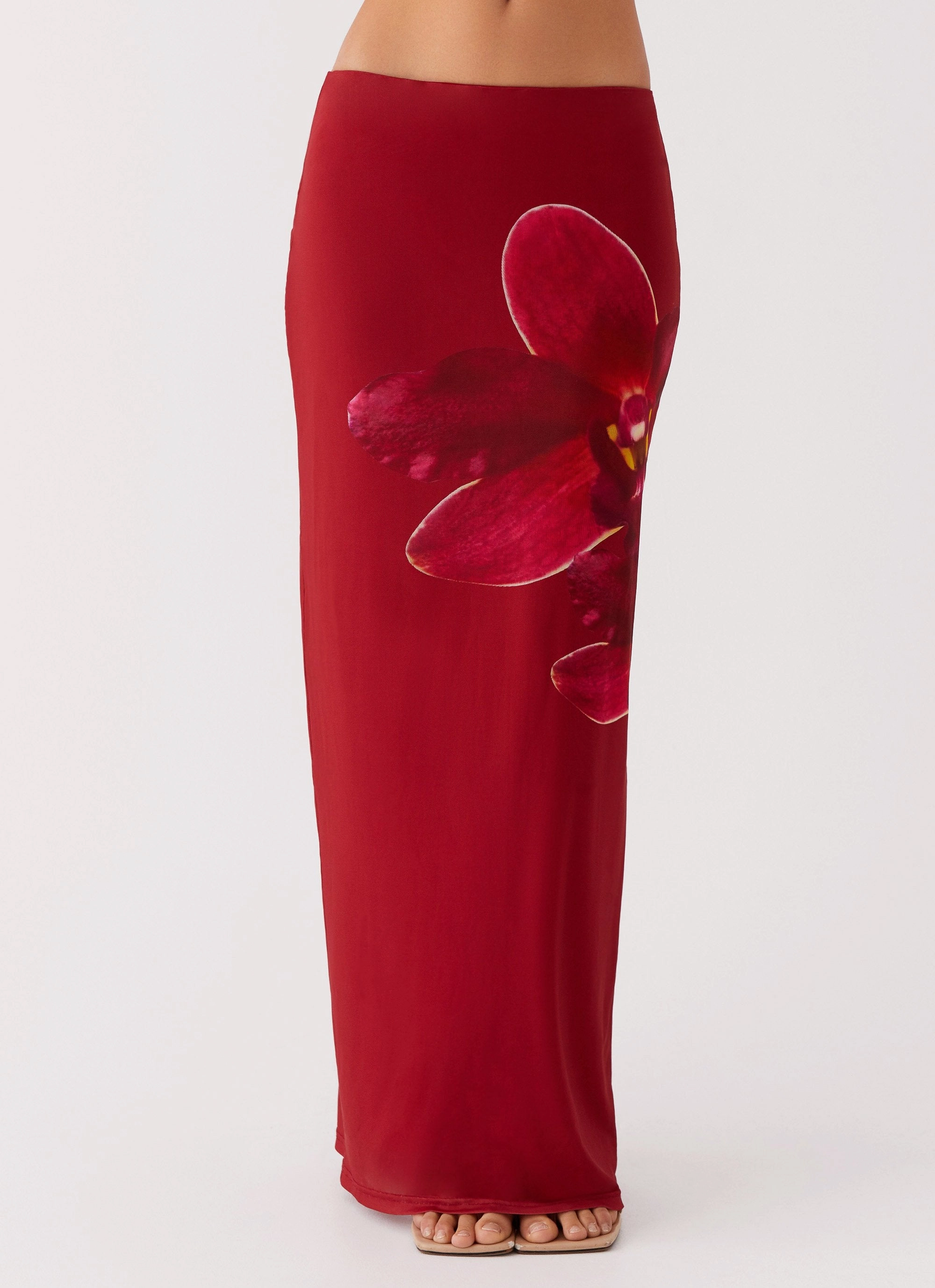 Waiting For Dawn Mesh Maxi Skirt - Rosa