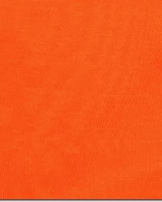Wyoming Traders Solid Silk Wild Rag