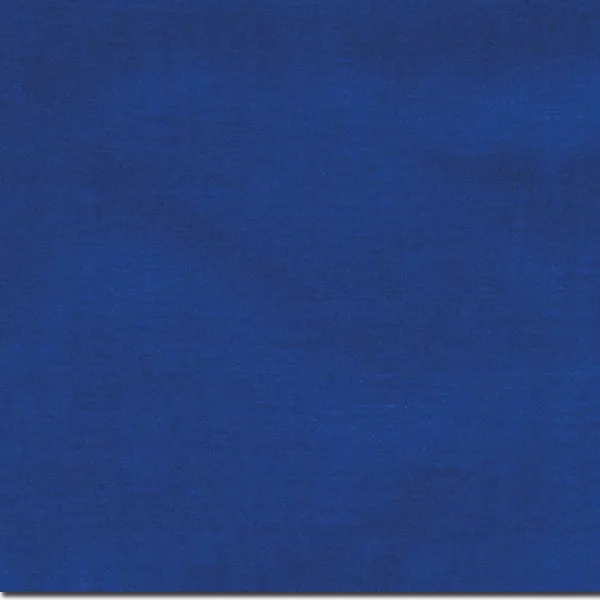 Wyoming Traders Solid Silk Wild Rag
