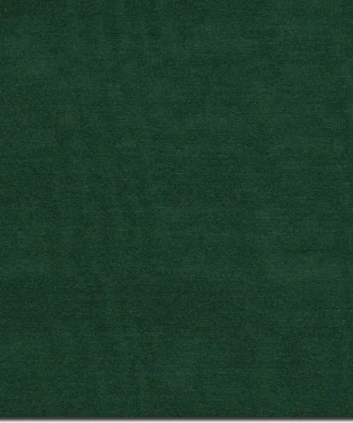 Wyoming Traders Solid Silk Wild Rag